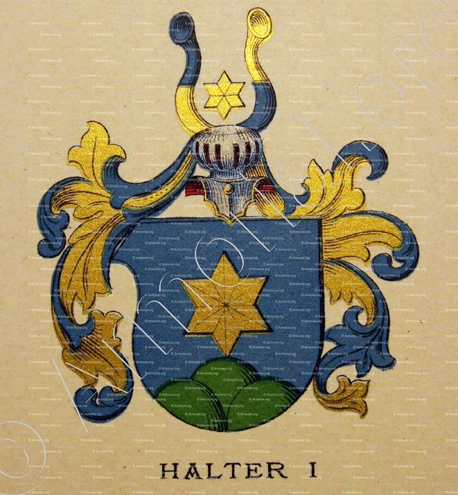HALTER_Wappenbuch der Stadt Basel . B.Meyer Knaus 1880_Schweiz. Suisse. Svizzera. (i)