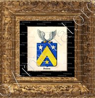 cadre-ancien-or-DOISON_Armorial royal des Pays-Bas_Europe