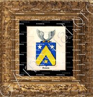 cadre-ancien-or-DOISON_Armorial royal des Pays-Bas_Europe