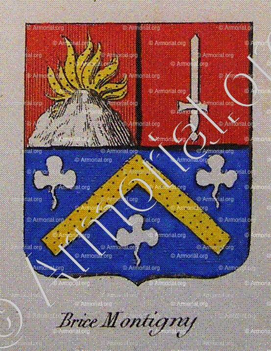 BRICE MONTIGNY_Noblesse d'Empire._France