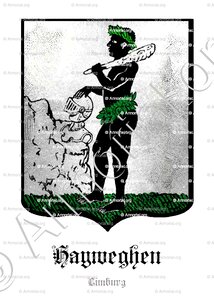HAYWEGHEN