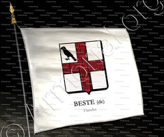drapeau-BESTE (de)_Flandre_Belgique (3)
