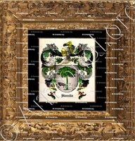 cadre-ancien-or-ALAMILLA_Almeria, Andalucia_España (ii)