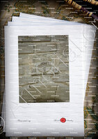 velin-d-Arches-PONS de l'ORME_armoiries sculptées, Abbaye de Montmajour (Provence)_France