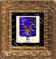 cadre-ancien-or-THE_Blaudin. Nivernais_France (i)