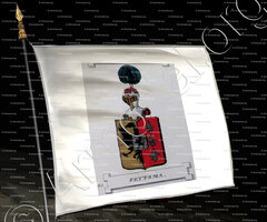 drapeau-FEYTSMA_Friesland (Stamboek van den Frieschen, 1846)_Nederland