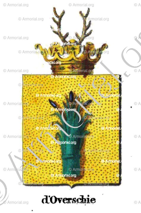 D'OVERSCHIE_Armorial royal des Pays-Bas_Europe