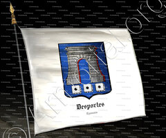 drapeau-DESPORTES_Lyonnais_France (2)