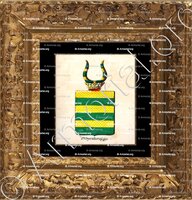 cadre-ancien-or-D'OYENBRUGGE_Armorial royal des Pays-Bas_Europe