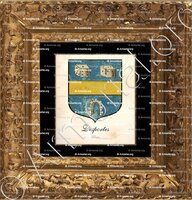 cadre-ancien-or-DESPORTES_Paris_France