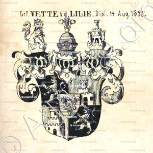 VETTER von der LILLIE