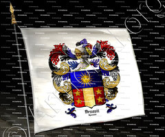 drapeau-DENAVIT_Lyonnais_France (ii)