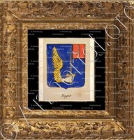 cadre-ancien-or-BUGET_Noblesse d'Empire._France