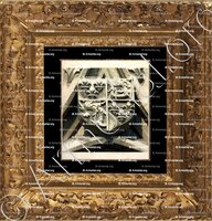 cadre-ancien-or-DAUPHIN DE FRANCE_Eglise Saint-Vulfran à Abbeville._France