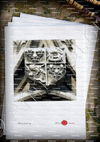 velin-d-Arches-DAUPHIN DE FRANCE_Eglise Saint-Vulfran à Abbeville._France