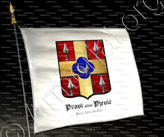 drapeau-PRAVI alias PJEVIĆ _Paris, Užice_France, Srbija. (2)
