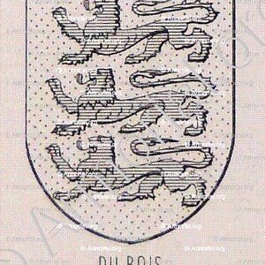 du BOIS_Bourbonnais_France (6)