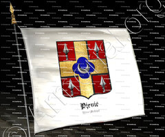 drapeau-PJEVIC (Pravi)_Užice_Srbija (1)