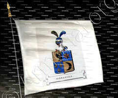 drapeau-GOSLINGA_Friesland (Stamboek van den Frieschen, 1846)_Nederland