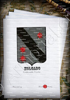 velin-d-Arches-HOGADO_Familia noble._España (1)