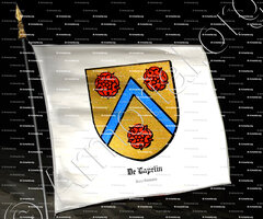drapeau-DE LAPELIN_Arm. du Bourbonnais_France (2)