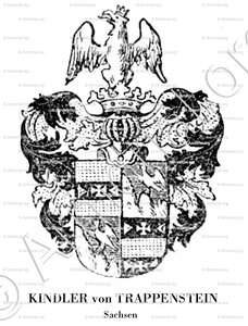 KINDLER von TRAPPENSTEIN