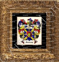 cadre-ancien-or-DETOURNAY_Stéphane D., 2010_Belgique (ii)