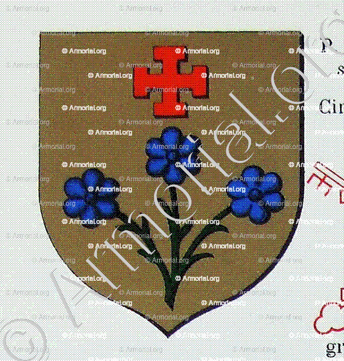 GROSSET SALLANCHE_Ancien Duché de Savoie_États de Savoie