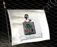 drapeau-HAERSMA_Friesland (Stamboek van den Frieschen, 1846)_Nederland