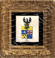 cadre-ancien-or-DUBUS DE GISIGNIES_Armorial royal des Pays-Bas_Europe