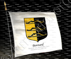 drapeau-BONNARD_Veuve Berthillet, Lyon, 1696._France