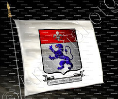 drapeau-DETOURNAY_Université de Lille, anc. Douain._France (iiii)