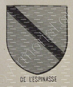 De l'ESPINASSE