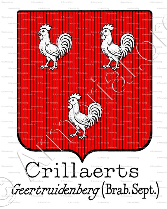 CRILLAERTS_Geertruidenberg_Belgïe(2)