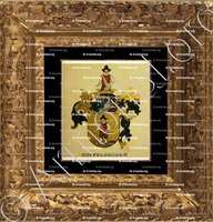 cadre-ancien-or-GOPPELSROEDER_Wappenbuch der Stadt Basel . B.Meyer Knaus 1880_Schweiz