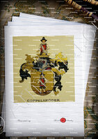 velin-d-Arches-GOPPELSROEDER_Wappenbuch der Stadt Basel . B.Meyer Knaus 1880_Schweiz