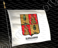 drapeau-MATALOBOS_Familia noble._España