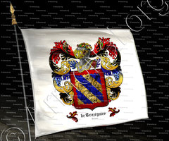 drapeau-de TRAZÉGNIES_Hainaut_Belgique (1)
