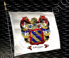 drapeau-de TRAZÉGNIES_Hainaut_Belgique (1)