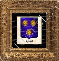 cadre-ancien-or-TRESEOL_Bretagne._France 