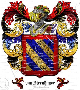 Van STEENHUYSE