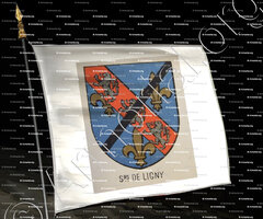 drapeau-de LIGNY_Seigneurs de Ligny_Bourbonnais