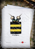 velin-d-Arches-D'YEDEGHEM_Armorial royal des Pays-Bas_Europe