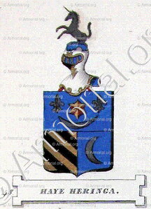 HAYE HERINGA