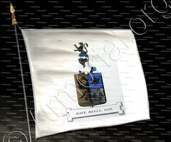 drapeau-HAYE RINIA_Friesland (Stamboek van den Frieschen, 1846)_Nederland