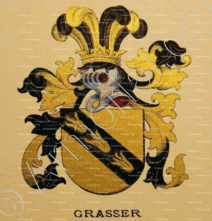 GRASSER_Wappenbuch der Stadt Basel . B.Meyer Knaus 1880_Schweiz