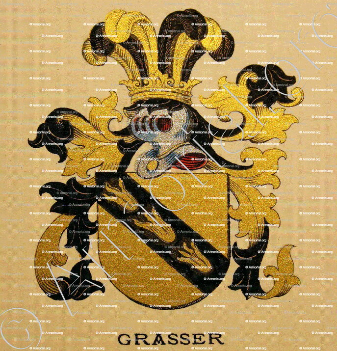 GRASSER_Wappenbuch der Stadt Basel . B.Meyer Knaus 1880_Schweiz