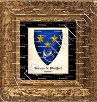 cadre-ancien-or-TOLOSAN de MONTFORT_Lyonnais_France (i)