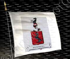 drapeau-HEMMEMA_Friesland (Stamboek van den Frieschen, 1846)_Nederland