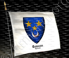 drapeau-TOLOSAN_Lyonnais_France (i)